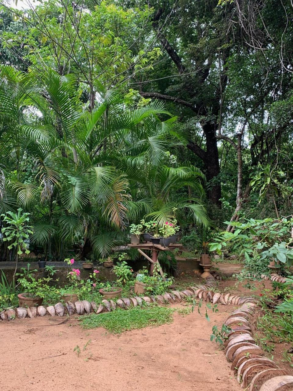 Manju Homestay Sigiriya Exteriör bild