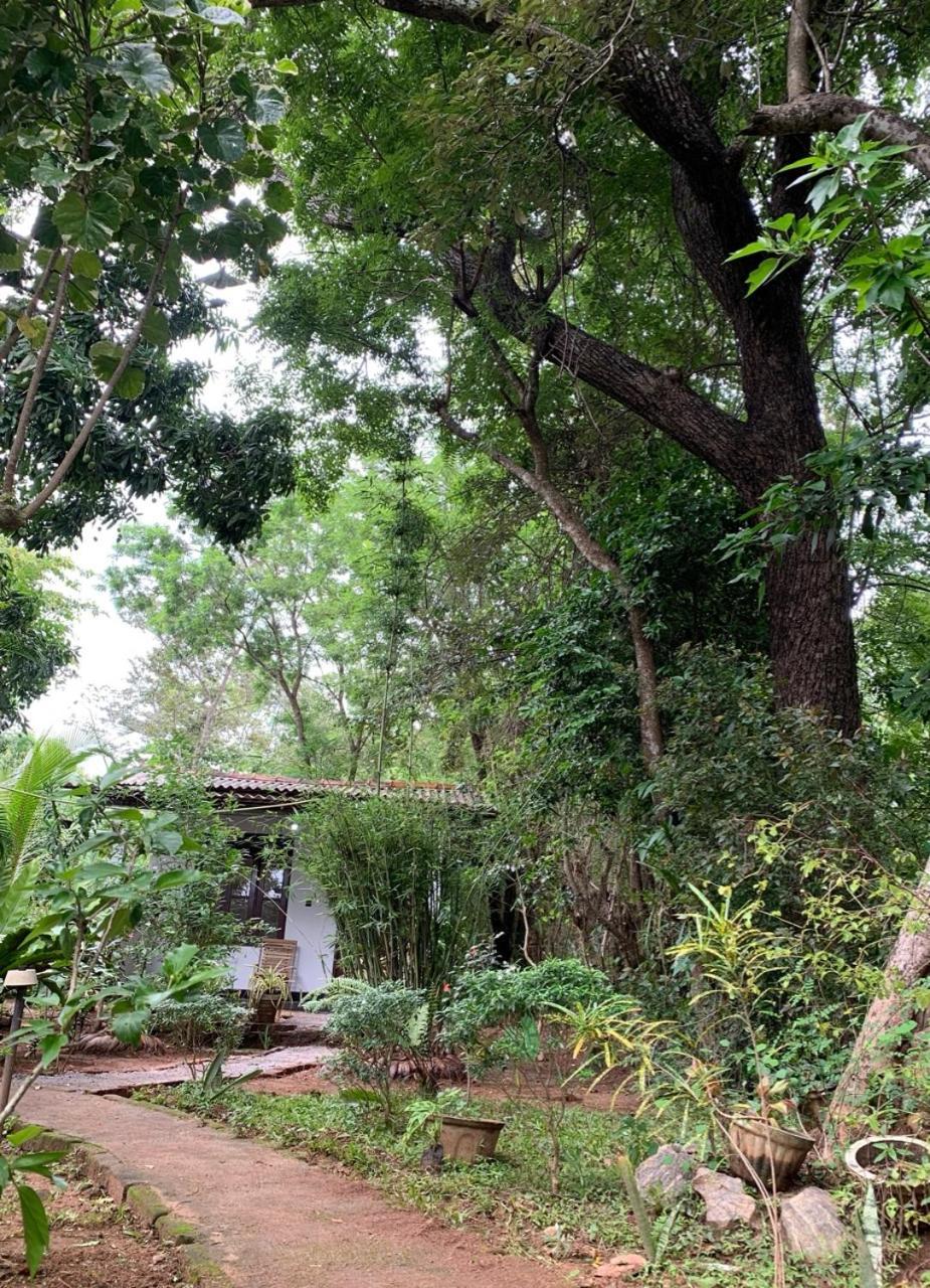 Manju Homestay Sigiriya Exteriör bild