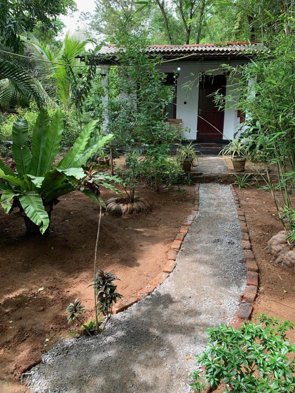 Manju Homestay Sigiriya Exteriör bild