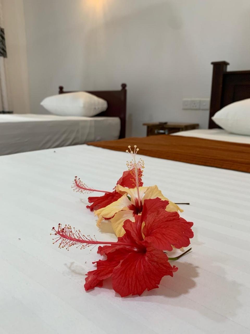 Manju Homestay Sigiriya Exteriör bild