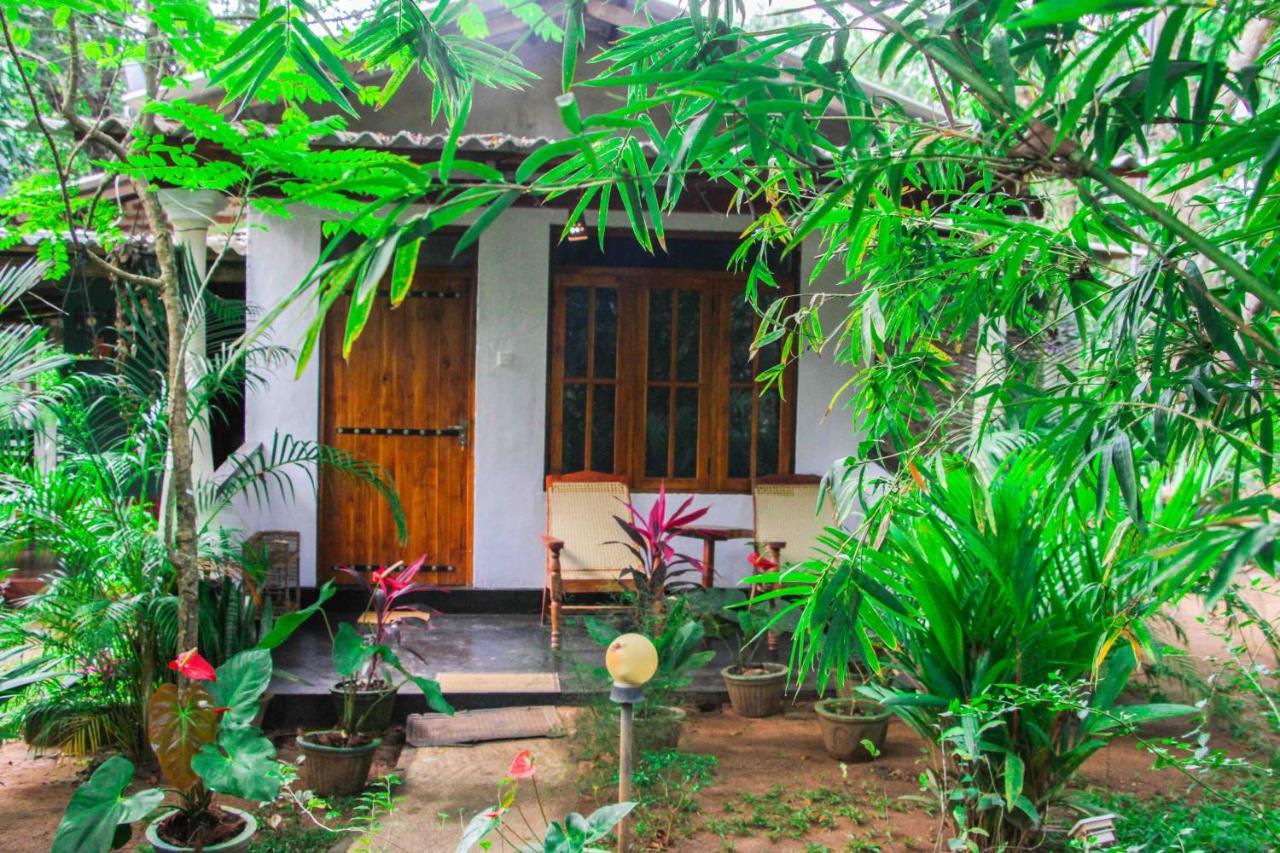 Manju Homestay Sigiriya Exteriör bild