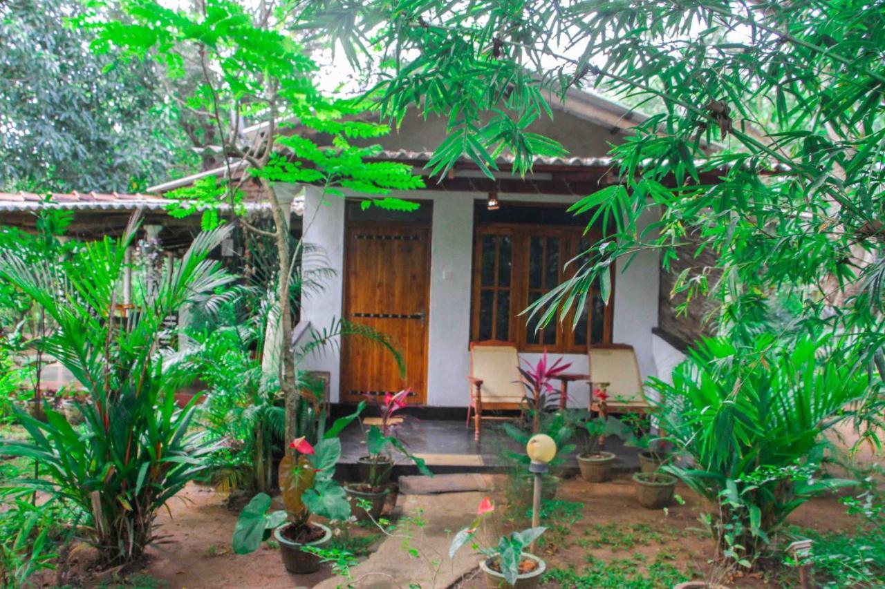 Manju Homestay Sigiriya Exteriör bild