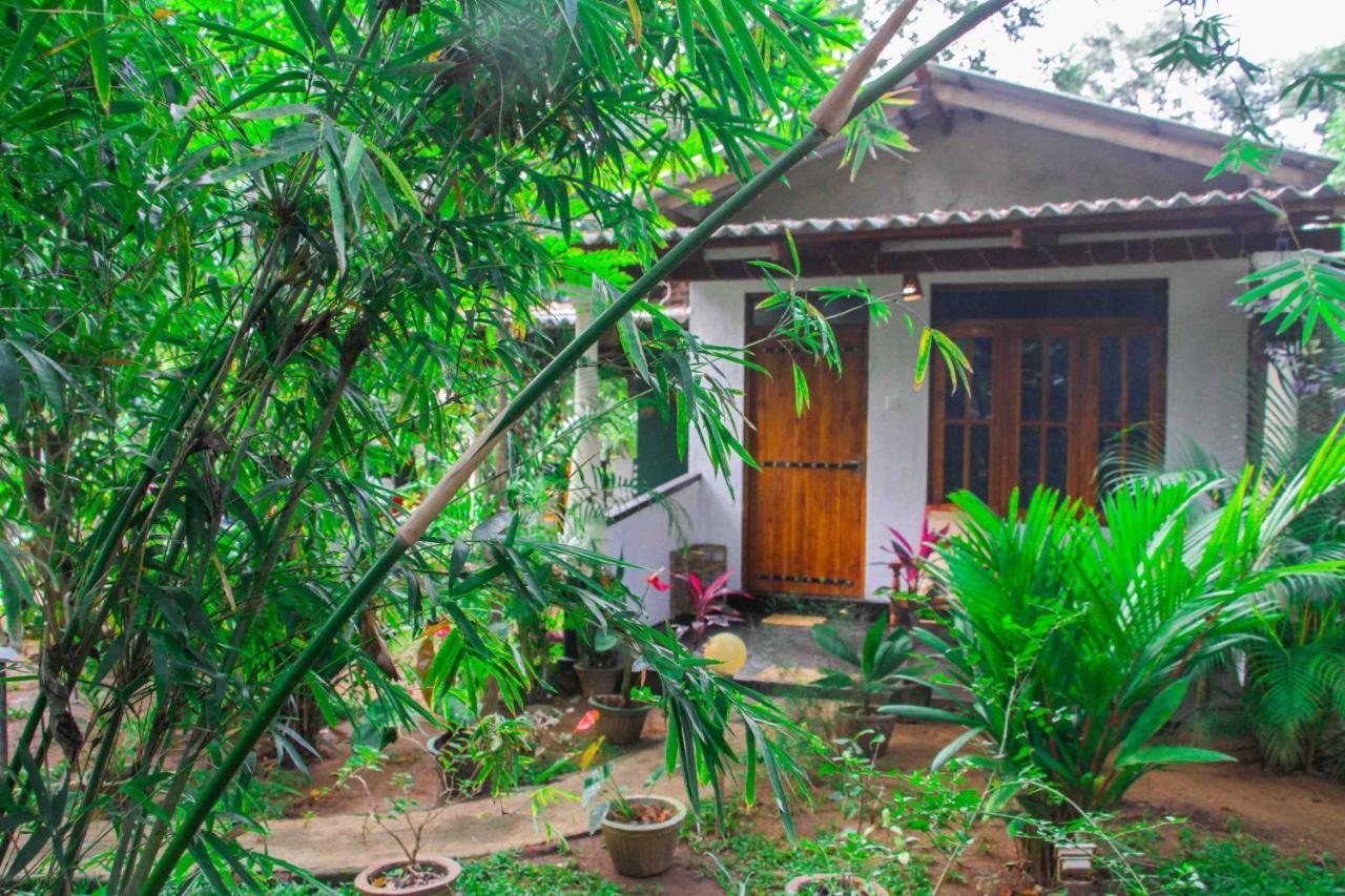Manju Homestay Sigiriya Exteriör bild